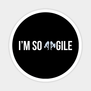 Developer I'm So Agile Magnet